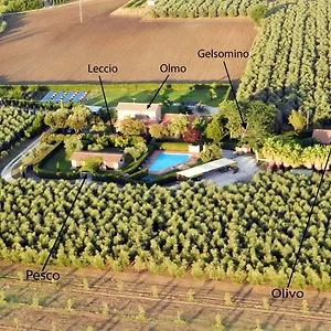 Podere Campi Al Mare Casa vacanze